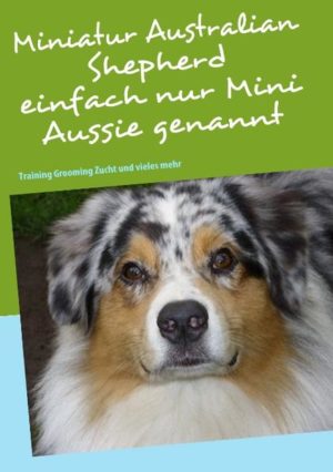 Honighäuschen (Bonn) - In diesem Buch findest du alles was du schon immer über Mini Aussies wissen wolltest. Von der Geschichte des Aussies, über den Kauf (auch aus dem Ausland), die Pflege, Trainingsmöglichkeiten, Zucht, Welpenentwicklung und alles was mir noch wichtig erschien. Alles ohne rosarote Brille, damit ihr zusammen ein wunderschönes und erfülltes Leben führen könnt.