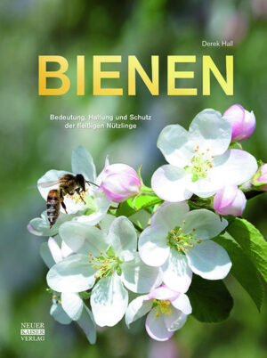 Honighäuschen (Bonn) - Die Biene spielt eine wichtige Rolle in unserem Ökosystem: Als Bestäuberin zahlreicher Nutzpflanzen sorgt sie nicht nur für deren Verbreitung, sondern auch für unsere Nahrung. Erfahren Sie alles Wissenswerte über das Leben dieser fleißigen Insekten.