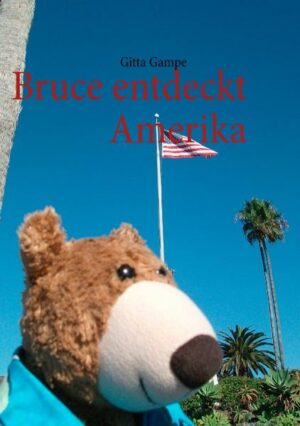 Bruce entdeckt Amerika. Oder