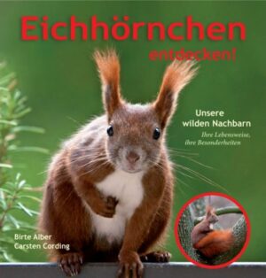 Honighäuschen (Bonn) - Die wilde Welt der Eichhörnchen  wer weiß schon Genaues darüber? Eichhörnchen kennt und mag fast jeder, wie sie leben, wissen allerdings die wenigsten.Eichhörnchen entdecken! informiert umfassend und unterhaltsam über das Leben der Eichhörnchen. Detailliert veranschaulicht dieses Buch viele Aspekte und Hintergründe ihrer Biologie und Besonderheiten.Bei den täglichen Besuchen der wilden Nachbarn erlebten die Autoren hautnah, was im Laufe eines Eichhörnchenjahres alles passiert: die sichtbaren Veränderungen beim Fellwechsel, wilde Jagden in der Paarungszeit, konzentrierter Kobelbau, der dramatische Hunger einer säugenden Eichhörnchenmutter, das Anlegen der Wintervorräte und Eichhörnchen im Schnee. Die vielen außergewöhnlichen Fotos, die dabei entstanden, illustrieren die Texte und begeistern mit Ganz-nah-dran-Motiven.Als Kulturfolger erobern Eichhörnchen zunehmend die Stadt und treffen dort auf eine neue Lebenssituation. Auch davon berichtet Eichhörnchen entdecken! und bietet Eichhörnchenfreunden Tipps, wie sie die wilden Nachbarn unterstützen können.Die eigenen Erfahrungsberichte werden ergänzt mit Beiträgen über Eichhörnchenfindlinge und das Aufwachsen der Jungtiere, von der Eichhörnchenexpertin Sabine Bergner-Rust vom Eichhörnchen Notruf e.V.Eichhörnchen entdecken! ist ein unterhaltsames und informatives Lesevergnügen auf 144 Seiten mit über 200 Fotos. Das Buch ist bestens geeignet für alle Altersklassen.