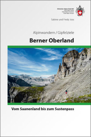 Gipfelziele zwischen Sustenpass und Saanenland Der Alpenkamm des Berner Oberlandes rund um Eiger