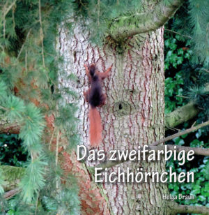 Honighäuschen (Bonn) - Ein kleines Eichhörnchen erkennt, dass es anders ist als seine Artgenossen. Mit Unterstützung eines Brunnen-Drachen lernt es, darauf stolz zu sein ...