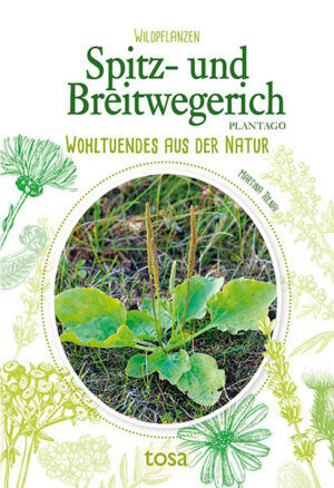 Lesen Sie in unserem Wildpflanzen-Ratgeber allerlei Wissenswertes über den Spitz- und Breitwegerich - wie man ihn erkennt und richtig verwendet. Mit interessanten Informationen zu Standort, Ernte, Verarbeitung und Heilwirkung sowie leckeren Rezepten.