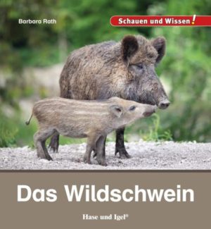 Honighäuschen (Bonn) - Was ist ein Frischling? Womit graben Wildschweine den Boden um? Warum bauen die Weibchen Nester? Wieso baden sich Wildschweine im Matsch? Hier werden neugierige Wildschweinforscher fündig: viele interessante Informationen, anschauliche Farbfotos und zahlreiche Tipps für eigene Entdeckungen.