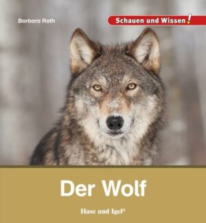 Honighäuschen (Bonn) - Weshalb sind Wölfe Familientiere? Wie funktioniert die Verständigung im Rudel? Warum gibt es Wanderwölfe? Sind Wölfe für Menschen gefährlich? Hier werden neugierige Wolfsforscher fündig: viele interessante Informationen, anschauliche Farbfotos und zahlreiche Tipps für eigene Entdeckungen.
