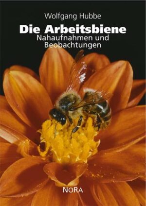 Die Arbeitsbiene: Nahaufnahmen und Beobachtungen | Wolfgang Hubbe