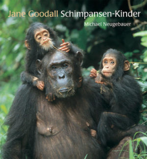 Honighäuschen (Bonn) - Der Fotobildband über die Schimpansen-Kinder und ihre Familien im Gombe-Stream-Nationalpark in Tansania ist ebenso berührend wie faszinierend. Jane Goodall hat als Forscherin und Schützerin der Schimpansen ein neues Verständnis in der breiten Öffentlichkeit geschaffen. Mit dem SchimpansenKinderBuch präsentiert sie gemeinsam mit Michael Neugebauer auf kindgerechte Art ihr Lebenswerk und bringt so auf unvergessliche Art die schützenswerte Welt dieser Tiere nahe.