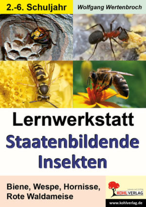Honighäuschen (Bonn) - Ein Themenheft, einsetzbar im 2. bis 6. Schuljahr. Die Kopiervorlagen lassen sich hervorragend in der Freiarbeit und zum Stationenlernen einsetzen! Zum Inhalt: Was ist ein staatenbildendes Insekt?