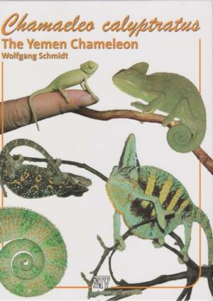 Honighäuschen (Bonn) - In his book the author treats all important aspects of the right grooming and breeding of the Yemen chameleon. Numerous illustrations both document and underline the extraordinary and interesting character of this species for terraristics.