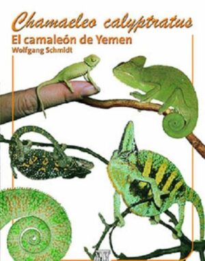 Honighäuschen (Bonn) - El camaleón del Yemen En su libro, el autor trata todos los aspectos importantes para el cuidado y la cría correctos del camaleón del Yemen. Numerosas ilustraciones al mismo tiempo documentan y recalcan el carácter extraordinario y interesante de esta especie para la terrarística. Contiene: - El hábitat natural - El comportamiento de los animales - El terrario idela - Requisitos de mantenimiento - La crianza - Enfermedades