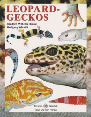 Honighäuschen (Bonn) - Leopardgeckos zählen zu den besonders geeigneten Terrarientieren. In ihrem Buch stellen die Autoren die Geckos in ihren Eigenheiten vor und machen den Leser vertraut mit den interessanten Pfleglingen. Ausführlich wird auf die richtige Unterbringung, Pflege und Vermehrung eingegangen, aber auch Informationen z. B. zum Lebensraum, zu den verschiedenen Arten und Unterarten sowie den zahlreichen Farbvarianten kommen nicht zu kurz. Es ist ein Leitfaden entstanden, der hilft, Fehler zu vermeiden und somit viel Freude und Erfolg bei der Pflege von Leopardgeckos zu haben.