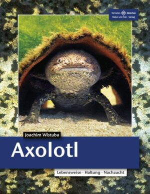 Honighäuschen (Bonn) - Axolotl sind allseits bekannt als die Salamander, die sich im Larvenstadium vermehren können. Aber nicht nur diese biologische Besonderheit und ihr bizarres Aussehen machen sie zu beliebten Pfleglingen, sie sind auch sehr gut im Zimmeraquarium zu halten und nachzuzüchten. Der Autor geht ausführlich auf die Herkunft, Haltung, Vermehrung und Krankheiten der Axolotl ein und erklärt außerdem die Biologie der faszinierenden "Wassermonster". Selbstverständlich werden alle Farbschläge und Hybridformen vorgestellt.