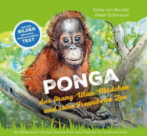 PONGA: das Orang-Utan-Mädchen und seine Freunde im Zoo | Gaby von Borstel