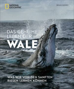 Honighäuschen (Bonn) - Wale faszinieren die Menschen seit jeher. Dennoch haben wir nur flüchtige Eindrücke der sanften Giganten. Wir wissen wenig über deren erstaunliche Anpassungsfähigkeiten, deren spezielle Fütterungsstrategien, deren matriarchalische Gesellschaften und deren einzigartige soziale Bräuche wie Gesangswettbewerbe. Folgen Sie den Entdeckungen eines renommierten National Geographic Fotojournalisten und tauchen Sie ein in das geheime Leben der Wale. Brian Skerry zeigt uns die Meeressäuger so nah und intensiv wie nie.