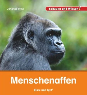 Honighäuschen (Bonn) - Auch wenn wir Menschen nicht von Menschenaffen abstammen, so sind sie doch unsere nächsten Verwandten. Zu den Menschenaffen gehören der Gorilla, der Schimpanse, der Orang-Utan und der Bonobo. Sie leben in Wäldern, bewegen sich meist auf allen vieren fort und ernähren sich von Blättern, Früchten und Nüssen. Wie wir Menschen leben sie meist in Gruppen und sind sehr geschickt im Umgang mit Werkzeugen.