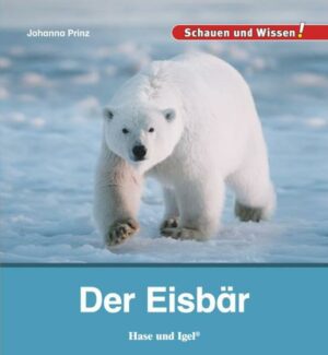 Honighäuschen (Bonn) - Der Eisbär ist der größte und schwerste Bär der Erde. Auch wenn er mit seinem weißen Pelz sehr kuschlig aussieht, ist er doch ein gefährliches Raubtier. Er kann so gut riechen, dass er sogar eine Robbe bemerkt, die unter einer dicken Eisschicht durchschwimmt! Eisbären sind am liebsten allein unterwegs, nur zur Paarungszeit treffen sie sich. Die Jungen werden in einer Schneehöhle geboren, in der sie etwa ein halbes Jahr verbringen.