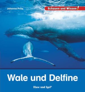 Honighäuschen (Bonn) - Wale und Delfine verbringen ihr ganzes Leben im Meer  und sind doch keine Fische, sondern Säugetiere. Deshalb müssen sie zum Atmen immer wieder auftauchen. Die meisten Wale springen, aber die tollsten Sprünge über dem Wasser vollführen die Delfine, von denen viele glauben, dass sie sogar lächeln. Mit ihren Brust- und Schwanzflossen können sich Wale und Delfine im Wasser vorwärtsschieben und steuern. Mit Schallwellen orientieren sie sich.