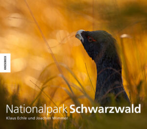 Der Nationalpark Schwarzwald wurde 2014 als einzigartiges Großschutzgebiet gegründet. Auf über 10.000 Hektar Fläche soll der Natur ohne korrigierende Eingriffe der Vorrang eingeräumt werden. Doch auch der Mensch kann dort zur Ruhe kommen und die Vielfalt unberührter Flora und Fauna erleben. Die beiden Fotografen porträtieren die Wälder