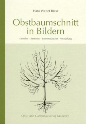 Honighäuschen (Bonn) - Das handliche Bändchen erklärt leicht verständlich die Grundlagen des Obstbaumschnitts und gibt eine umfassende Anleitung zum Schnitt und zur Erziehung von Kern- und Steinobstbäumen sowie Beerensträuchern.
