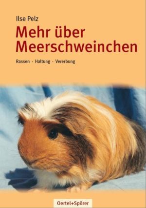 Honighäuschen (Bonn) - Meerschweinchenhaltung ist kein Kinderspiel! Sie erfordert die richtige Mischung aus Wissen, praktischer Erfahrung und Einfühlungsvermögen im Umgang mit den Tieren. Züchter müssen sich darüber hinaus noch mit der Genetik auseinandersetzen, um mit gesunden, rassetypischen Meerschweinchen ihrem Zuchtziel näherzukommen. Kenntnisse in der Vererbung der vielen verschiedenen Fellfarben gehören hier zum Grundwissen. Obwohl schon seit Jahrhunderten Meerschweinchen mit den Menschen in häuslicher Gemeinschaft leben, ist ihre Haltung als Haustier noch immer von falschen Vorstellungen und Vorurteilen geprägt. Nur wer sich Gedanken über seine südamerikanische Herkunft und sein Wesen macht, wird ihm viel Auslauf mit Artgenossen ermöglichen und eine artgerechte Ernährung bieten können. Werden die Grundbedürfnisse der Meerschweinchen erfüllt, bleiben sie gesund und können recht alt werden.