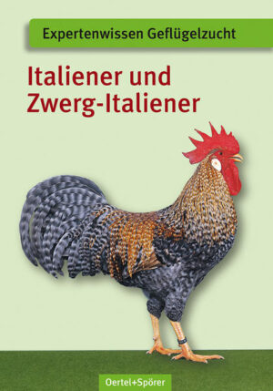 Honighäuschen (Bonn) - Expertenwissen Geflügelzucht - Hühnerrassen Italiener und Zwerg-Italiener - Zucht, Haltung, Krankheiten