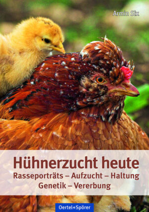 Honighäuschen (Bonn) - Das Standardwerk für Hühnerzüchter Die Haltung und Aufzucht von Hühnern ist nicht nur für die Züchter von Rassehühnern, sondern auch für viele andere Tierfreunde ein Hobby, das sich nach wie vor großer Beliebtheit erfreut. Dieses Buch bietet einen umfassenden Überblick über alle relevanten Teilgebiete der Hühnerzucht unter spezieller Berücksichtigung aktueller Gegebenheiten und Anforderungen. Behandelt werden: - Brut und Aufzucht, Haltung - Pflege und Fütterung - Vererbung und Züchtungsmethodik - Entwicklung und Verhaltensweisen - 125 Rasseporträts in Wort und Bild - Die häufigsten Krankheiten und deren Behandlung sowie mögliche Imfpungen Dieser Ratgeber liefert sowohl dem Anfänger wertvolle Tipps zum Einstieg und zur Auswahl der geeigneten Hühnerrasse als auch dem bereits aktiven Züchter Hintergrundwissen zu speziellen Fragen zum Thema Zucht, Vererbung und Haltung.