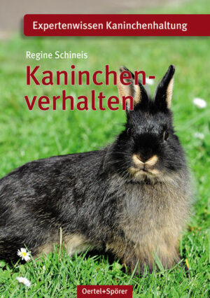 Honighäuschen (Bonn) - Über die Haltung und Ernährung von Kaninchen gibt es schon eine ganze Reihe von Büchern. Aber über das Kaninchenverhalten und das richtige Verstehen der Kaninchensprache ist nur wenig Literatur zu finden. Dabei ist es doch so wichtig, dass jeder Kaninchenhalter seine Schützlinge richtig versteht. Denn auch Kaninchen, die hinter Katze und Hund den dritten Platz der beliebtesten Haustiere einnehmen, sind kleine Persönlichkeiten mit individuellen Gefühlen und Bedürfnissen. In diesem Buch werden nicht nur die normale Kaninchensprache, sondern auch Verhaltensstörungen und deren Ursachen beschrieben. Ebenso werden die Vergesellschaftung, die eventuell damit auftretenden Probleme und eine mögliche Erziehung von Kaninchen ausführlich erläutert, außerdem Themen wie Fortpflanzung und Jungenaufzucht sowie der richtige Umgang mit alten Kaninchen. Ein Buch mit allen wichtigen Informationen rundum das Kaninchenverhalten, das jeden Kaninchenhalter seine kleinen Schützlinge sicherlich mit anderen Augen sehen und besser verstehen lässt!