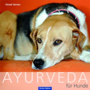 Honighäuschen (Bonn) - Ayurveda wirkt sich wohltuend auf Körper und Geist aus, nicht nur bei Menschen, sondern auch bei Tieren. Dieses Buch ist für alle Hundefreunde, die auch für ihren Vierbeiner die Ayurveda-Methode anwenden möchten. Ein kleiner Exkurs in die Hundepsychologie erklärt, wie man durch Ayurveda-Massagen mit dem Hund kommunizieren kann. Die Behandlung mit ayurvedischen pflanzlichen Produkten kann bei vielen Leiden zu Linderung oder Heilung führen. Und die Beschreibung der richtigen ayurvedischen Ernährung des Hundes wird schließlich abgerundet mit einer Reihe von vegetarischen Rezepten, die sich in der jahrtausendlangen Tradition bewährt haben.