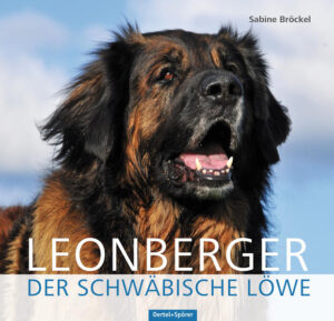 Honighäuschen (Bonn) - Leonberger sind keine Hofhunde, aber als Schoßhunde sind sie zu groß und zu schwer, auch wenn sie sich unter den streichelnden Händen ihrer Menschen am wohlsten fühlen. Das Bedürfnis des Leonbergers nach Nähe ist aber nicht das einzige Kriterium, das man berücksichtigen sollte, wenn man darüber nachdenkt, einen Hund dieser meist sanftmütigen und besonders menschenbezogenen Riesenrasse zu sich zu nehmen. Welche Ansprüche der Leonberger an seine Menschen stellt, darum geht es in diesem wunderbaren Buch, das gleichzeitig eine Liebeserklärung an die meist zart besaiteten und doch so imposanten Riesenhunde ist, die manchmal im wahrsten Sinn des Wortes einfach umwerfend sind. Wer sein Herz einem Leonberger öffnen, ihn von Anfang an verstehen und seine Gelassenheit als herausragende Charaktereigenschaft erfahren möchte, der entscheidet sich mit dieser Hommage an den schwäbischen Löwen genau für das richtige Buch.