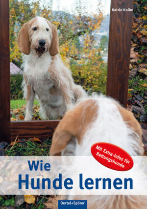 Honighäuschen (Bonn) - Die Lerngesetze Was passiert während des Lernens im Hundehirn? Wie kann ich das Training tiergerecht und effektiv gestalten? Was sind Brückensignale, intrinsische Motivation und operante Konditionierung? Zu diesen und vielen weiteren Fragen finden Sie hier Antworten. Denn genaue Kenntnisse über die Lerngesetze und deren Bedeutung für das Lernverhalten von Hunden sind für alle, die einen Hund artgerecht und effektiv erziehen oder ausbilden wollen, Grundvoraussetzung. - Lernverhalten von Hunden - Voraussetzung für jegliche Art der Ausbildung - Praktische Trainingstipps und Fallbeispiele In diesem Buch erfahren Sie, welche Konsequenzen Ihr Handeln für das Training hat. Egal, ob Sie einen reinen Familienhund haben, im Hundesport aktiv sind oder einen speziellen Dienst- oder Gebrauchshund ausbilden wollen, Sie werden über die Trainingsfortschritte staunen und feststellen, dass Sie einen ganz neuen Zugang zu Ihrem vierbeinigen Partner gefunden haben. Als Besonderheit bietet dieses Buch zusätzliche Hinweise und Informationen für die Ausbildung von Rettungshunden, die in den jeweiligen Kapiteln auf einen Blick schnell zu finden sind. Katrin Kolbe widmet sich seit 1996 ehrenamtlich der Hundeausbildung. Seit 2001 ist sie aktives Mitglied der Bereitschaft Rettungshunde des DRK im Kreisverband Reutlingen. Hier war sie lange Jahre als Ausbilderin tätig und als Gruppenführerin im Einsatz. Bisher ist von ihr als Co-Autorin bei Oertel+Spörer das Buch Nasenarbeit erschienen.