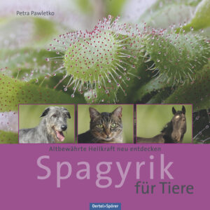 Honighäuschen (Bonn) - - Das erste deutschsprachige Buch zu diesem Thema - 58 ausführliche Heilpflanzenporträts - Rezepturen, die individuell auf das Tier angepasst werden Der geheimnisvolle Begriff Spagyrik ist die Bezeichnung für den alchemistischen Herstellungsprozess von Heilpflanzenessenzen. Diese jahrhundertealte Heilkunst haben wir dem Arzt, Alchemisten und Naturforscher Paracelsus zu verdanken. Die Spagyrik ist eine ganzheitliche, altbewährte Therapieform und gewinnt besonders in der heutigen Zeit immer mehr an Popularität. Die Spagyrik-Essenzen können als Einzelessenz oder individuell auf die Bedürfnisse des Tieres angepasst zusammengemischt werden. Sie wirken tiefer und schneller, als man es von pflanzlichen Heilmitteln sonst gewohnt ist, und können sehr gut für Tiere sowohl bei körperlichen Beschwerden als auch bei psychosomatischen Erkrankungen verwendet werden. Die Selbstheilungskräfte werden aktiviert und die Lebensqualität wird spürbar verbessert. In diesem ausführlichen Ratgeber werden Wirkungsweise, Anwendung und Dosierung für Hund, Katze und Pferd beschrieben. Der Leser erfährt, wie er eine Heilessenzmischung individuell und passend für sein Tier zusammenstellen kann. Das ideale Nachschlagewerk für jeden Tierbesitzer, Tierheilpraktiker und Therapeuten, der sein Tier naturheilkundlich und nebenwirkungsfrei behandeln will!