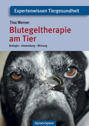 Honighäuschen (Bonn) - Die Anwendung von Blutegeln bei der Naturheilkunde kann schon auf eine jahrtausendelange Geschichte zurückblicken. Im letzten Jahrhundert war diese Heilmethode etwas in den Hintergrund geraten, aber in den letzten Jahren haben sich immer mehr Heilpraktiker und Mediziner daran erinnert und wenden die Blutegeltherapie wieder häufiger an. Auch im Bereich der Tierheilkunde hat sich der Einsatz von Blutegeln bewährt. Ob bei Pferd, Hund, Ziege oder Schaf  alle Tiere, die eine gewisse Körpergröße haben, können problemlos mit Blutegeln behandelt werden. Diese Therapie ist zum Beispiel geeignet zur Heilung und Linderung von Schwellungen oder Entzündungen hervorgerufen durch Traumen oder Infektionen, von altersbedingten Erkrankungen wie Arthrose oder Gelenkprobleme sowie von zahlreichen Hautkrankheiten. In diesem Buch erfährt der Leser alles über die Biologie des Blutegels und den geschichtlichen Hintergrund der Blutegeltherapie. Die Hälterung der Tiere sowie die praktische Anwendung in der Therapie und die Wirkungsweise werden erklärt. Fallbeispiele unterstützen das Ganze und helfen in Verbindung mit zahlreichen Farbfotos dem Leser, die Behandlung mit Blutegeln richtig umzusetzen.