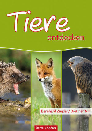 Honighäuschen (Bonn) - Die vielen unterschiedlichen Lebensräume der Schwäbischen Alb beheimaten eine reichhaltige Artenvielfalt der Tierwelt. Doch oft sind diese Tiere schwer zu entdecken. Denn wer weiß schon, wie ein Warzenbeißer aussieht, wo der seltene Alpenbock vorkommt oder wie ein Wanderfalke beobachtet werden kann, ohne dass er gestört wird? Der handliche Taschenführer beschreibt mehr als 50 Tierarten, die für die Schwäbische Alb von besonderer Bedeutung sind und gibt wertvolle Tipps zum Auffinden und zur Beobachtung dieser Tiere.