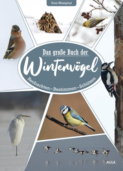 Honighäuschen (Bonn) - Vögel im Winter zu beobachten ist genauso spannend wie der herbstliche Vogelzug oder die Ankunft der Zugvögel im Frühjahr. Die vermeintlich vogelarme Winterzeit eignet sich sogar besonders gut für Einsteiger, da das Artenspektrum überschaubar ist und Vögel in unbelaubten Büschen und Bäumen besser zu entdecken und zu beobachten sind. Dr. Uwe Westphal stellt in diesem reich bebilderten Buch mehr als 180 Wintervogelarten ausführlich vor., die den verschiedenen Lebensräumen zugeordnet sind, u.a. Stadt, Dorf, Wald oder Strand. Behandelt werden auch allgemeine Aspekte, wie Überlebensstrategien oder die Auswirkungen des Klimawandels. Zusätzlich informieren kompakte Artporträts über Merkmale, Stimme, Nahrung, Verhalten, Status und Besonderheiten. Dieses Buch macht neugierig und regt dazu an, beim nächsten Winterspaziergang unsere heimischen Wintervögel zu entdecken und zu beobachten. Praxistipps zu geeigneten Schutzmaßnahmen runden das Werk ab.