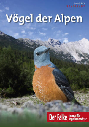 Vögel der Alpen |