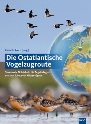 Die Ostatlantische Vogelzugroute: Spannende Einblicke in die Zugstrategien und den Schutz von Küstenvögeln |