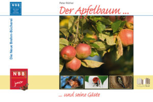 Honighäuschen (Bonn) - Warum ein Buch über den Apfelbaum? In diesem Apfelbaum-Buch können Kinder nachlesen, dass der Apfelbaum ein Lebewesen ist. Und: Er ist ein wichtiger Lebensraum für viele Tiere. Spechte und Steinkäuze bauen Nisthöhlen in seinem Stamm, Blaumeisen, Stare und Kleiber suchen in seinem Geäst nach Insekten. Marienkäfer fressen gerne Blattläuse, die sie auf den Apfelbaumblättern finden, und Hornissen bauen im Apfelbaum ihre Nester. Auch Fledermäuse und Eichhörnchen besuchen den Apfelbaum gerne auf der Suche nach schmackhafter Nahrung. Auf ein Tier ist der Apfelbaum sogar ganz dringend angewiesen: Wenn seine Blüten im Frühjahr nicht von Honigbienen bestäubt werden, dann entwickeln sie sich nicht zu Äpfeln. Zum Schluss warten Spiele, Lieder, Basteltipps und vieles mehr auf die Kinder! Die Neue Brehm-Bücherei  für Kinder im Alter ab 5 Jahren  bietet altersgerecht aufbereitete Informationen  schult den Blick auf Zusammenhänge in den Ökosystemen  fördert verantwortungsvollen Umgang mit der Umwelt  lädt ein zum gemeinsamen Lesen  mit attraktivem Praxisteil: Spielanleitungen, Projektskizzen und vieles mehr