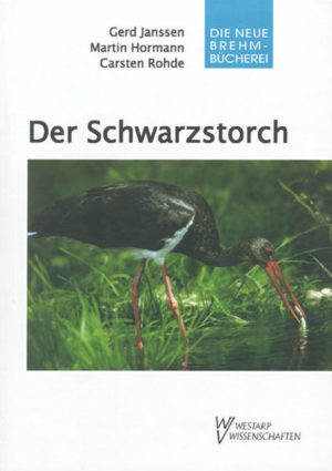 Honighäuschen (Bonn) - Von den Germanen als heiliger Vogel Odins verehrt, in christlicher Zeit wegen seiner schwarzen Farbe als Unheilsbringer verunglimpft und als Fischräuber verfolgt, zu allen Zeiten aber geheimnisumwittert, hat der Schwarzstorch im letzten Vierteljahrhundert weite Teile seines ehemaligen Verbreitungsgebietes in West- und Mitteleuropa in einem beispiellosen Siegeszug zurückerobert: Auf der Grundlage internationaler Forschungsergebnisse, gewonnen unter Einsatz moderner Technik, wie z.B Satellitentelemetrie und Videokamera-Horstüberwachung, eigener Untersuchungen der Autoren und der Verarbeitung der verfügbaren Literatur gewährt der Brehm-Band als weltweit bislang umfassendste Gesamtdarstellung Einblicke in die noch wenig bekannte kulturgeschichtliche Bedeutung des Schwarzstorchs und präsentiert aktuelle Zahlen zur Verbreitung und Bestandsentwicklung ebenso wie neue Erkenntnisse über Habitatnutzung, Ernährung, Stellung innerhalb des ökologischen Systems, Brutbiologie, Verhalten, Zug und Überwinterung sowie interspezifische Beziehungen. Darüber hinaus werden Gefährdungsfaktoren analysiert und Schutzstrategien diskutiert. Überlegungen zu einem Bestandsmonitoring verstehen sich als Anstoß zur Umsetzung internationaler Schutzverpflichtungen, die sich z.B. aus dem Afrikanisch-Eurasischen Wasservogel-Abkommen (AEWA) ergeben. So bietet der Band, durchgehend mit Farbfotos renommierter europäischer Naturfotografen illustriert, allen am Schwarzstorch Interessierten einen schnellen Zugriff auf die benötigten Fachinformationen.