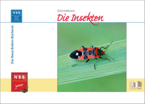 Honighäuschen (Bonn) - Warum ein Buch über Insekten? Insekten sind zwar klein, aber nicht weniger interessant als große und vertraute Tiere wie Pferde, Hunde und Katzen. Selbst die kleinen Mäuse sind größer als die meisten Insekten. Aber dafür gibt es viel mehr Insektenarten als bei allen anderen Tierarten zusammen  mehr als eine Million! Insekten gibt es in vielen Formen und Farben. Die kleinen krabbelnden, hüpfenden und summenden Lebewesen findest du fast überall. Auf jedem Spaziergang kannst du ihnen begegnen  und sogar in deiner Wohnung. Einige können stechen, stimmt. Aber keine Sorge: Die meisten sind harmlos! Du erfährst, dass Insekten aussehen wie zarte Elfen, bunte Gaukler oder gut gepanzerte Ritter, wie und wo sie leben, wie sich interessante Raupen in wunderschöne Schmetterlinge verwandeln  und vieles mehr. Und zum Schluss warten Spiele, Basteltipps und vieles mehr auf dich! Die Neue Brehm-Bücherei  für Kinder ab 5 Jahren  bietet altersgerecht aufbereitete Informationen  schult den Blick auf Zusammenhänge in den Ökosystemen  fördert verantwortungsvollen Umgang mit der Umwelt  lädt ein zum gemeinsamen Lesen  mit attraktivem Praxisteil: Spielanleitungen, Projektskizzen und vieles mehr