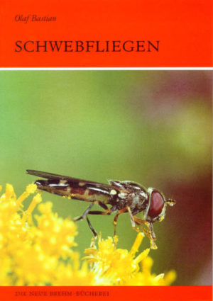 Honighäuschen (Bonn) - Schwebfliegen gehören zu den auffälligsten Insekten unserer Fauna. Ihren Namen verdanken sie ihrem hervorragenden Flugvermögen, insbesondere der Fähigkeit, sekundenlang frei in der Luft an einer Stelle zu verharren. Manche Arten zeigen eine verblüffende Ähnlichkeit mit Wespen, Bienen oder Hummeln, stechen jedoch nicht. Schwebfliegen sind von der Ebene bis zum Hochgebirge weit verbreitet. Infolge ihrer Häufigkeit und Artenvielfalt spielen sie eine bedeutende Rolle im Stoffkreislauf der Natur, zählen sie doch neben den Bienen zu den wichtigsten Bestäubern von Kultur- und Wildpflanzen. Bei Blütenmangel werden auf der Suche nach neuen Nahrungsquellen oft weite Strecken überwunden. Die Larven verhalten sich entweder räuberisch oder ernähren sich von morschem Holz und ausfließendem Saft kranker Bäume, leben in Pflanzenstengeln, Wurzeln und Zwiebeln bzw. sind Fäulnisbewohner. Für die biologische Schädlingsbekämpfung in Landwirtschaft und Gartenbau sind vor allem die Larven der blattlausvertilgenden Schwebfliegenarten von Bedeutung. Die vorliegende Gruppenmonographie vermittelt aktuelles Wissen über diese interessante Fliegenfamilie. Die meisten mitteleuropäischen Arten können mit Hilfe instruktiver Schlüssel und zahlreicher Detailzeichnungen auch bestimmt werden.
