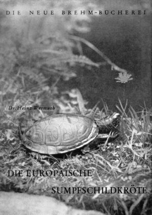 Honighäuschen (Bonn) - Die Schildkröten bilden eine der verhälnismäßig wenigen Tiergruppen, die durch äußerlich erkennbare Merkmale so deutlich charakterisiert sind, dass sie auch der Laie kaum jemals mit anderen Tieren verwechseln dürfte. Durch die Schuppenbekleidung an Kopf, Gliedmaßen und Schwanz sowie ihre wechselnde, von der Umgebung abhängige Körpertemperatur erweisen sie sich als typische Reptilien