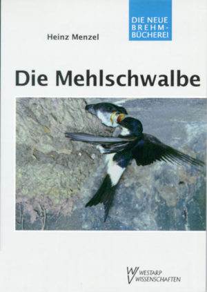 Honighäuschen (Bonn) - In Mitteleuropa kommen vier Schwalbenarten als Brutvogel vor: Ufer-, Felsen-, Rauch- und Mehlschwalbe. Die beiden letzten nisten in der Nähe des Menschen, trotzdem fällt ihre Unterscheidung manchem schwer. Die kleiner und kurzflügliger als die Rauchschwalbe wirkende Mehlschwalbe ist blauschimmernd-schwarz mit schneeweißem Bauch und weißer Kehle, auch der weiße Bürzelfleck fällt im Flug sofort auf. Die Mehlschwalbe - sie schließt sich dem Menschen meist weniger eng an als die Rauchschwalbe - baut ihr Nest fast stets unter das Dach oder unter Durchfahrten. Sie ist beim Nisten und auch auf dem Wegzug sehr gesellig. Ihre Nahrung besteht ganz überwiegend aus aktiv bzw. passiv fliegenden Insekten, die durch Luftströmungen in die Höhe getrieben wurden und hier an günstigen Stellen wahrscheinlich in großen Ansammlungen vorkommen. Wir wissen heute über die Mehlschwalbe sehr viel mehr als über andere Schwalbenarten, was nicht zuletzt auf den Einsatz von Kunststoffnestern zurückzuführen ist.