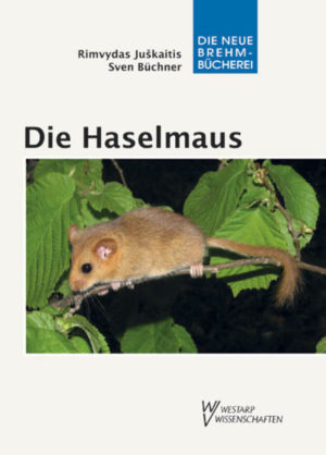 Honighäuschen (Bonn) - Die Haselmaus ist eine Charakterart artenreicher Wälder und Gehölze. Ihre Fähigkeit Winterschlaf zu halten, faszinierte seit jeher die Naturforscher. Jedoch führt die heimliche Lebensweise der Haselmaus dazu, dass sie nur wenige Menschen zu Gesicht bekamen und wenig über die Lebensweise bekannt war. Erst in den letzten Jahrzehnten begann man sich intensiver mit der Art auseinander zusetzen, auch weil sie eine hohe naturschutzfachliche Relevanz besitzt. Als streng an Gehölze gebundene Art ist die Haselmaus besonders sensibel gegenüber Habitatverlust und -zerschneidung. Genaue Kenntnisse über die Biologie und die Ansprüche sind eine Voraussetzung für den Schutz des kleinsten heimischen Schläfers. Die Autoren stellen Ergebnisse eigener Freilandforschungen seit mehr als 25 Jahren und Erfahrungen mit öffentlichkeitswirksamen Projekten zur Haselmaus in den Kontext der internationalen Literatur und legen damit die erste Monografie zu dieser faszinierenden Art in deutscher Sprache vor.