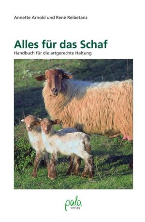 Honighäuschen (Bonn) - Schafe sind ideale Nutztiere und liefern wertvolle sowie gesunde Produkte. Sie sind dabei umgänglich und leicht zu halten, vorausgesetzt auf die Bedürfnisse der sympathischen Tiere wird Rücksicht genommen. Es ist daher wohl kein Zufall, wenn Schafe als Nutz- und Haustiere immer beliebter werden. Annette Arnold und René Reibetanz zeigen in ihrem Handbuch, was für eine artgerechte Haltung wichtig ist. Die beiden in Brandenburg lebenden Autoren folgen dabei ihrer eigenen Erfahrung: Wer Rücksicht nimmt auf die natürlichen Instinkte und Verhaltensweisen der Tiere, hat viel Freude an Schafen und wird mit gesunden, hochwertigen Produkten belohnt. Das Buch behandelt sowohl die ökologische Funktion der Schafe als Landschaftspfleger und Unkrautvernichter als auch den Ertrag, der sich in barer Münze messen lässt. Alle wichtigen Fragen rund um das Schaf werden sachkundig und ausführlich erörtert: das Wesen der Schafe, unterschiedliche Rassen, Haltung, Fütterung, Schur, Schlachtung sowie Behandlung von Krankheiten. Darüber hinaus werden Ratschläge zur Verarbeitung von Milch, Wolle und Fleisch gegeben.