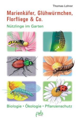 Marienkäfer, Glühwürmchen, Florfliege & Co. | Honighäuschen