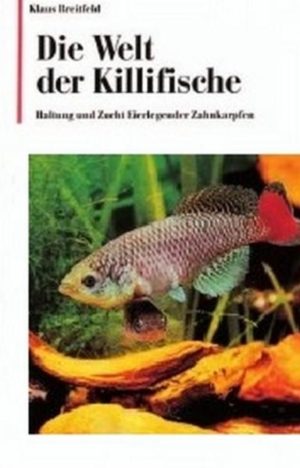 Honighäuschen (Bonn) - Eierlegende Zahnkarpfen, auch Killifische oder Killies genannt, leben mit Ausnahme von Australien auf allen Erdteilen. Sie sind keine "Killerfische", wie man vermuten könnte, sondern kleine, im allgemeinen friedliche Zierfische von durchschnittlich 5 bis 6 cm Länge. Der Reiz ihrer außergewöhnlichen Schönheit und der interessanten Fortpflanzungsweise ist für manchen Aquarianer eine ständige Herausforderung. Einige Killifische, wie die afrikanischen Prachtgrundkärpflinge oder die südamerikanischen Fächerfische, haben Überlebensstrategien entwickelt, die ihresgleichen suchen. So liegt der Laich dieser Fische oft monatelang in der obersten Bodenschicht ausgetrockneter tropischer und subtropischer Tümpel. Mit Beginn der Regenzeit füllen sich die kleinen Gewässer, und Stunden später schwimmen die ersten Jungfische. Das Buch wendet sich vorrangig an Aquarianer, die diese Zierfischfamilie bisher nicht kennengelernt haben. Es soll eine praktische Starthilfe für Killifischfreunde sein, gibt aber auch dem Spezialisten nützliche Hinweise. Die Farben- und Formenvielfalt der Eierlegenden Zahnkarpfen wird durch zahlreiche Abbildungen und Ablaichserien anschaulich dargestellt. Das Buch enthält zusätzlich Informationen über die wenig bekannten und selten gepflegten asiatischen Reiskärpflinge.