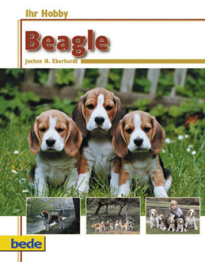 Honighäuschen (Bonn) - Der freundliche Ausdruck des Beagle, sein buntes Fell und sein familienfreundliches Wesen machen den Beagle seit Jahren zu einer der beliebtesten englischen Hunderasse. Über den Autor: Der Autor Jochen H. Eberhardt ist Mitbegründer des Beagle Club Deutschland (BCD), wurde 1985 zum Obmann des VDH für das Zucht- und Zuchtbuchwesen und 1995 Vorsitzender einer Komission der Europasektion der FCI. Als Allgemeinrichter für alle Hunderassen ist er in der ganzen Hundewelt hoch angesehen, ebenso sein erfolgreicher Beagle Zwinger "True Line?s", den er seit 1975 mit seiner Frau Silke betreibt. Aus dem Inhalt: - Ausflug in die Vergangenheit - Der Beagle heute - Zur Anschaffung eines Beagles und die Folgen - Erziehung zum Hausgenossen - Die Zucht - Verwendung für die Jagd - Ausstellung - Ernährung - Gesundheit - Der Beagle im Alter