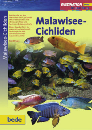Honighäuschen (Bonn) - Malawiseecichliden gehören zu den beliebtesten Aquarienfischen. Mit ihren attraktiven Farben und der aufopferungsvollen Maulbrutpflege der Weibchen gehören sie zugleich zu den interessantesten Fischen, die in unseren Aquarien gepflegt werden. Lassen auch Sie sich von der Faszination, die von diesen prächtigen Fischen ausgeht, begeistern! Schöne Bilder und geballte Informationen zum Erwerb der Fische sowie Pflege, Zucht und Vergesellschaftung machen das Buch zu einem Augenschmaus. Aus dem Inhalt: Heimat Afrika