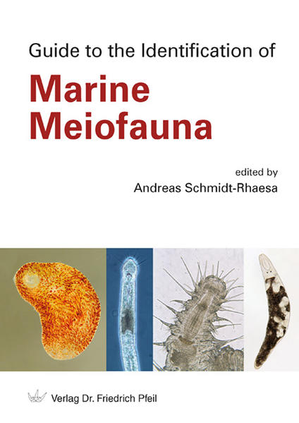 Honighäuschen (Bonn) - Marine meiofauna, the community of smallest animals in marine sediments, is a fascinating and important part of the marine ecosystem. In this book, 53 authors introduce the 32 animal groups that occur in the meiofauna. Chapters contain information on where and how to sample meiofaunal animals as well as how to identify them. Keys help in the identification. This book complements existing literature on meiofauna and may serve as a fascinating introduction into meiofaunal taxa as well as a practical guide to work with meiofauna in the field or in the laboratory. The rich illustration of the book and the expertise of specialists make this book suitable for beginners as well as experienced researchers on meiofauna.