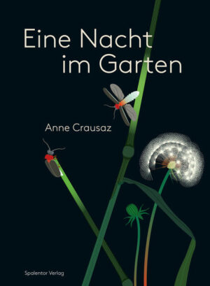 Eine Nacht im Garten | Anne Crausaz